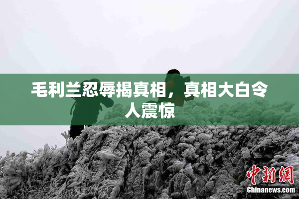 毛利兰忍辱揭真相，真相大白令人震惊