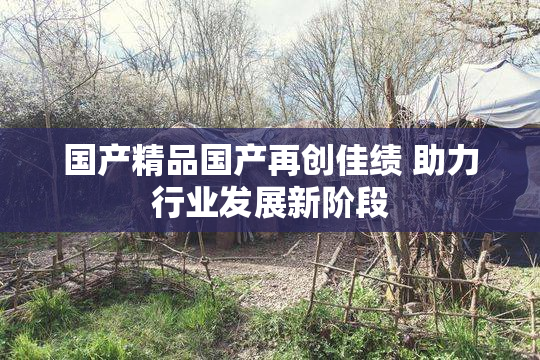 国产精品国产再创佳绩 助力行业发展新阶段