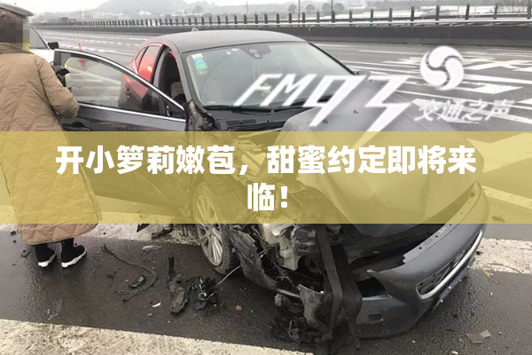 开小箩莉嫩苞，甜蜜约定即将来临！