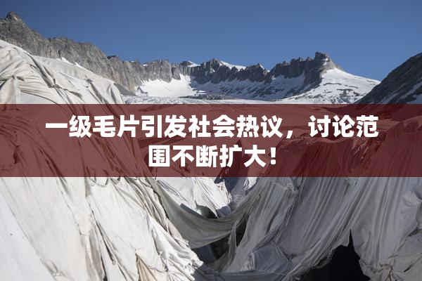 一级毛片引发社会热议，讨论范围不断扩大！