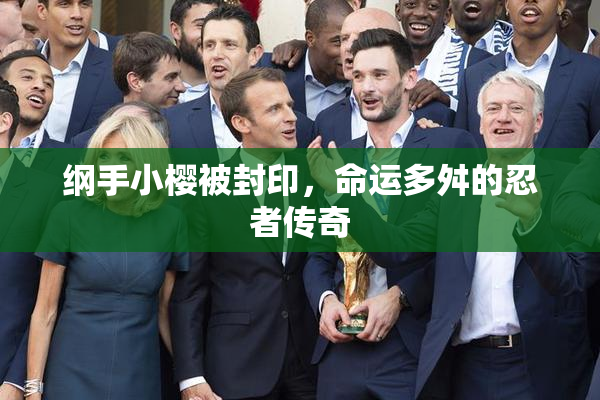 纲手小樱被封印，命运多舛的忍者传奇