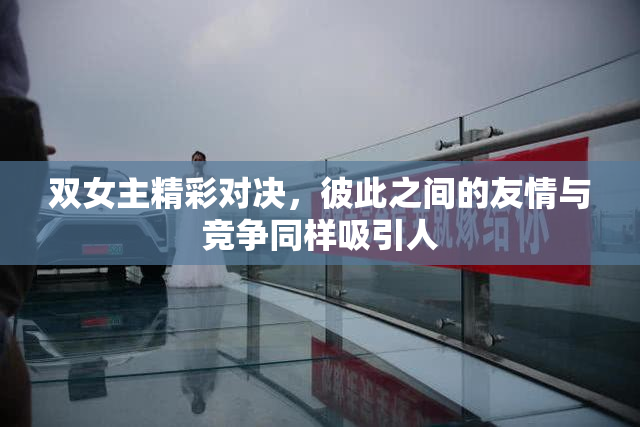 双女主精彩对决，彼此之间的友情与竞争同样吸引人