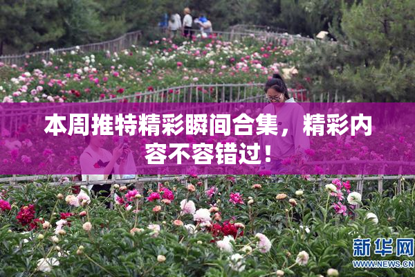 本周推特精彩瞬间合集，精彩内容不容错过！