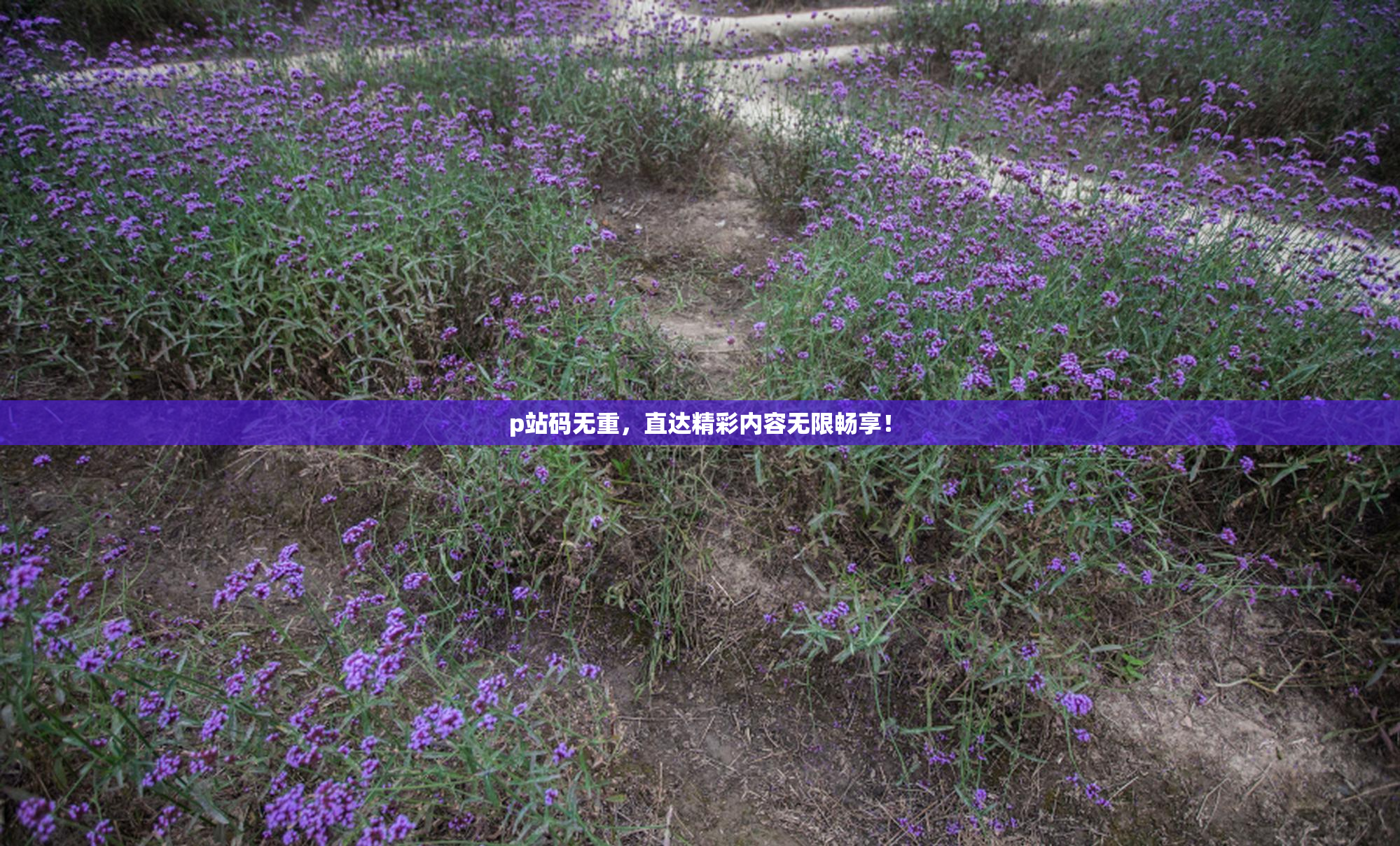 p站码无重，直达精彩内容无限畅享！