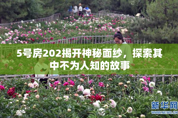 5号房202揭开神秘面纱，探索其中不为人知的故事
