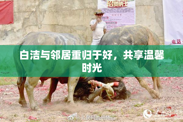 白洁与邻居重归于好，共享温馨时光
