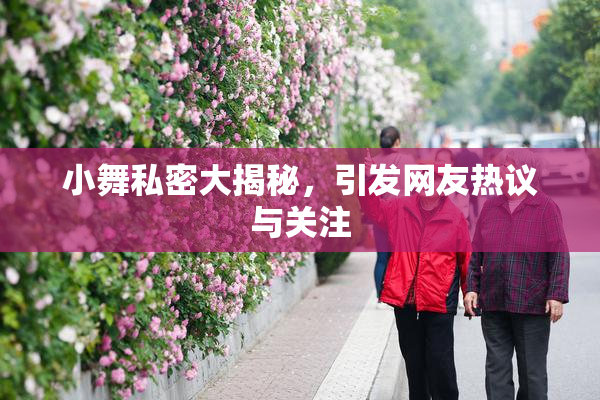 小舞私密大揭秘，引发网友热议与关注