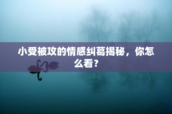 小受被攻的情感纠葛揭秘，你怎么看？