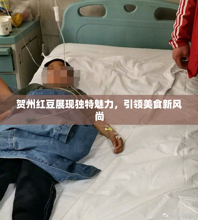 贺州红豆展现独特魅力，引领美食新风尚