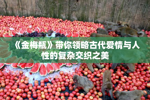 《金梅瓶》带你领略古代爱情与人性的复杂交织之美