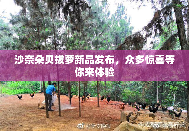 沙奈朵贝拔萝新品发布，众多惊喜等你来体验