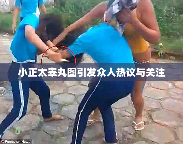 小正太睾丸图引发众人热议与关注