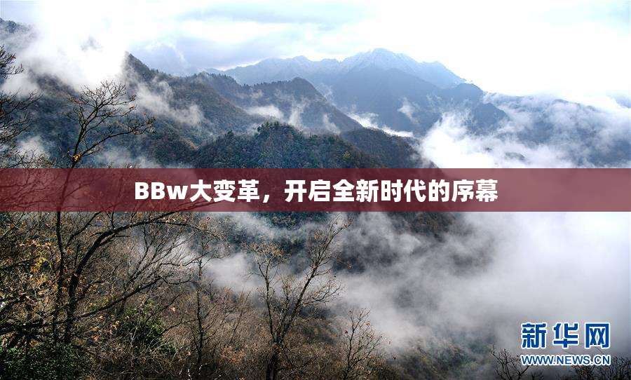 BBw大变革，开启全新时代的序幕