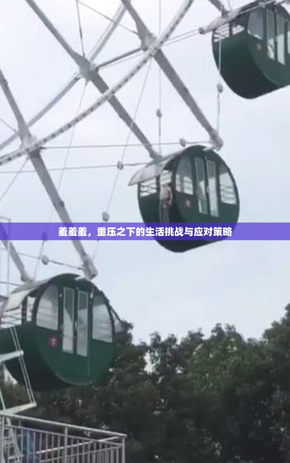羞羞羞，重压之下的生活挑战与应对策略