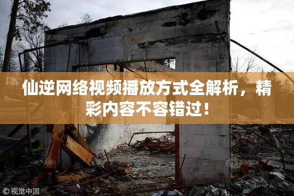 仙逆网络视频播放方式全解析，精彩内容不容错过！