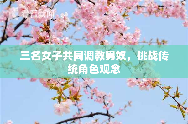 三名女子共同调教男奴，挑战传统角色观念