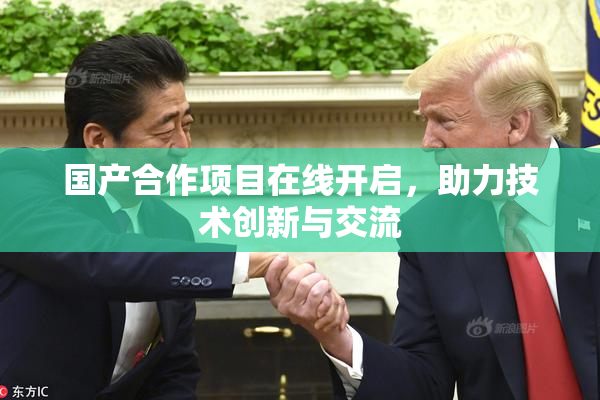 国产合作项目在线开启，助力技术创新与交流