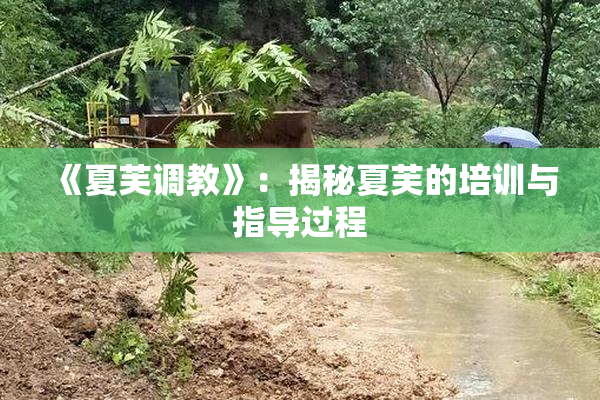 《夏芙调教》：揭秘夏芙的培训与指导过程