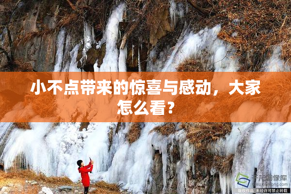 小不点带来的惊喜与感动，大家怎么看？