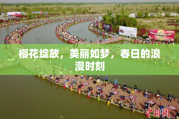 樱花绽放，美丽如梦，春日的浪漫时刻