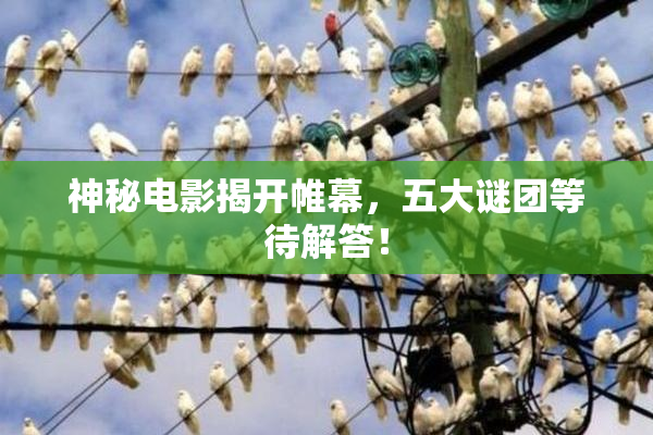 神秘电影揭开帷幕，五大谜团等待解答！