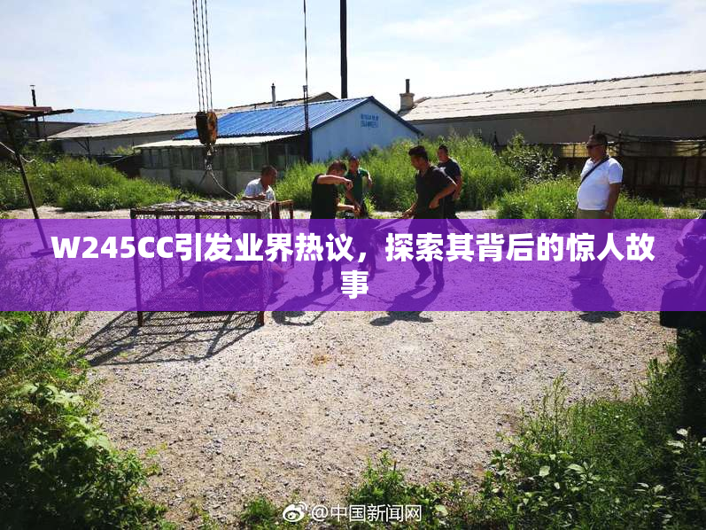 W245CC引发业界热议，探索其背后的惊人故事