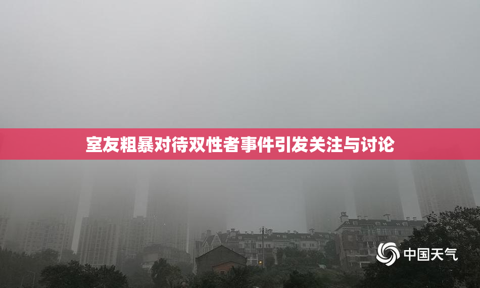 室友粗暴对待双性者事件引发关注与讨论