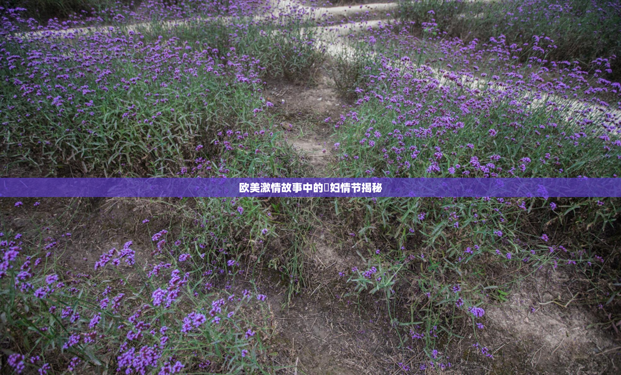 欧美激情故事中的婬妇情节揭秘