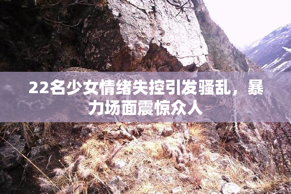 22名少女情绪失控引发骚乱，暴力场面震惊众人