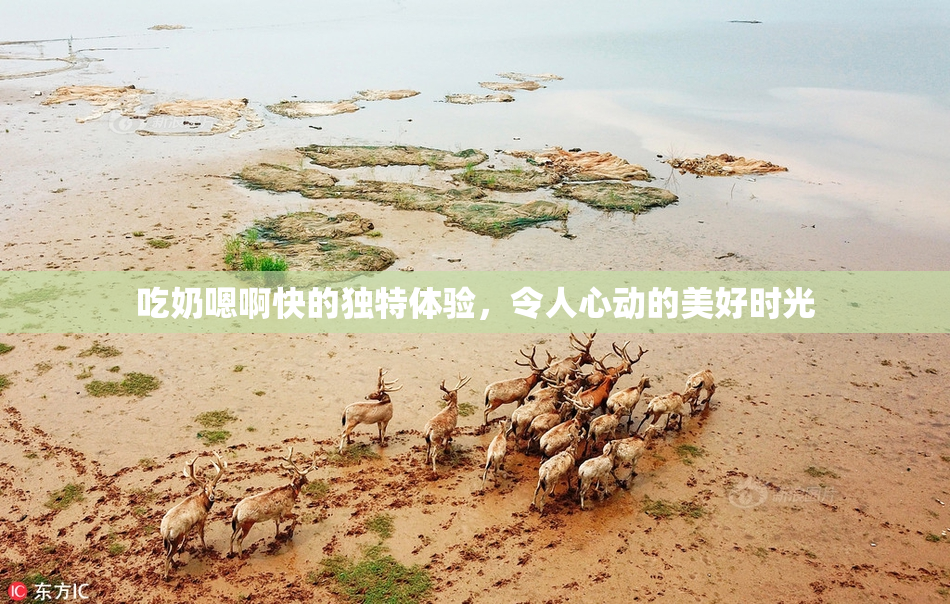 吃奶嗯啊快的独特体验，令人心动的美好时光