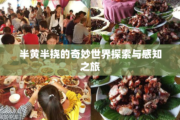 半黄半挠的奇妙世界探索与感知之旅