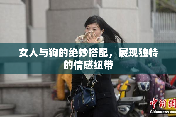 女人与狗的绝妙搭配，展现独特的情感纽带