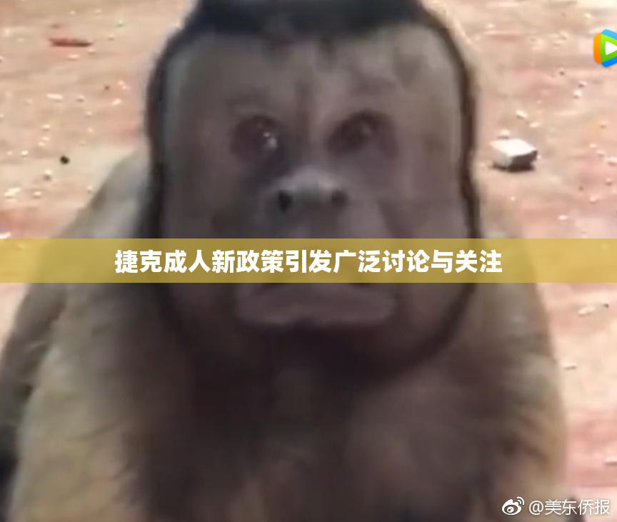 捷克成人新政策引发广泛讨论与关注