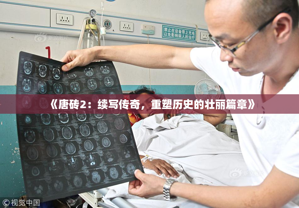 《唐砖2：续写传奇，重塑历史的壮丽篇章》