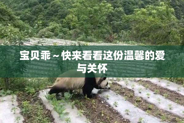 宝贝乖～快来看看这份温馨的爱与关怀