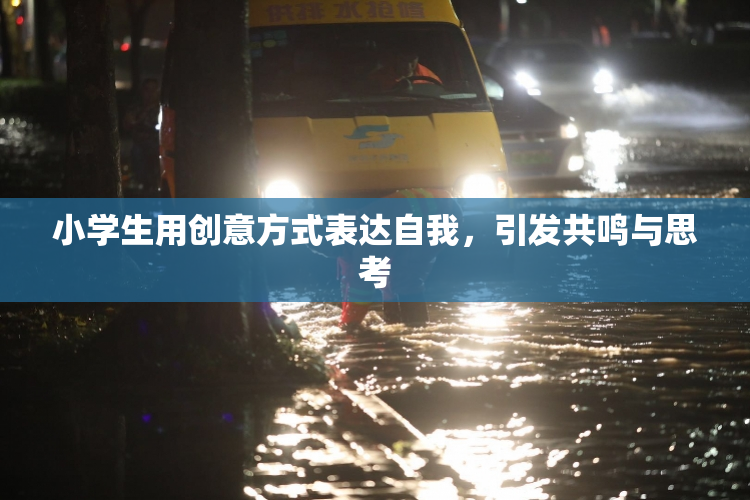 小学生用创意方式表达自我，引发共鸣与思考