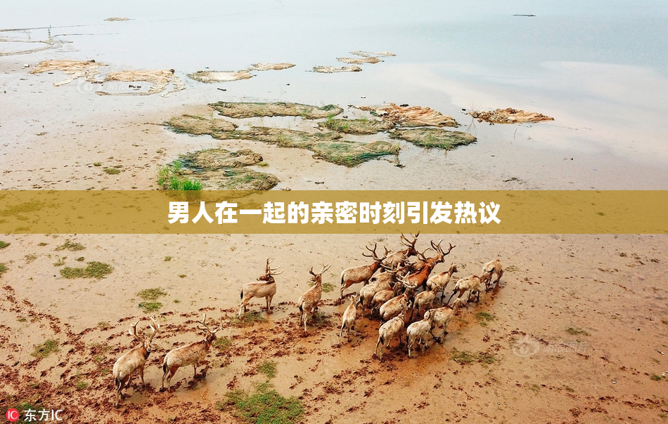男人在一起的亲密时刻引发热议