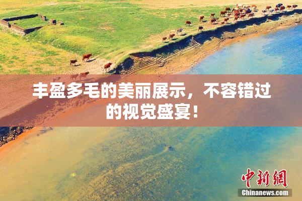 丰盈多毛的美丽展示，不容错过的视觉盛宴！