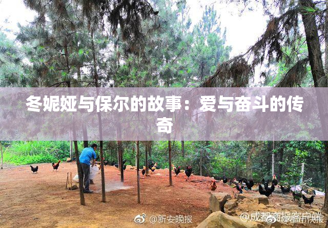 冬妮娅与保尔的故事：爱与奋斗的传奇