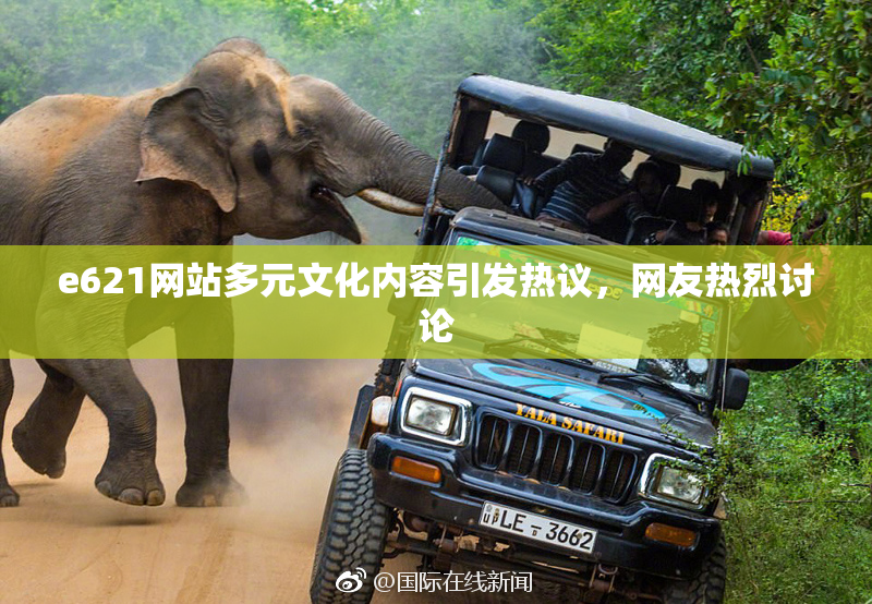 e621网站多元文化内容引发热议，网友热烈讨论