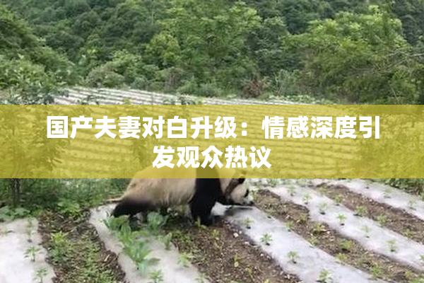 国产夫妻对白升级：情感深度引发观众热议