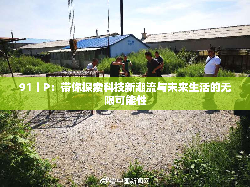 91丨P：带你探索科技新潮流与未来生活的无限可能性