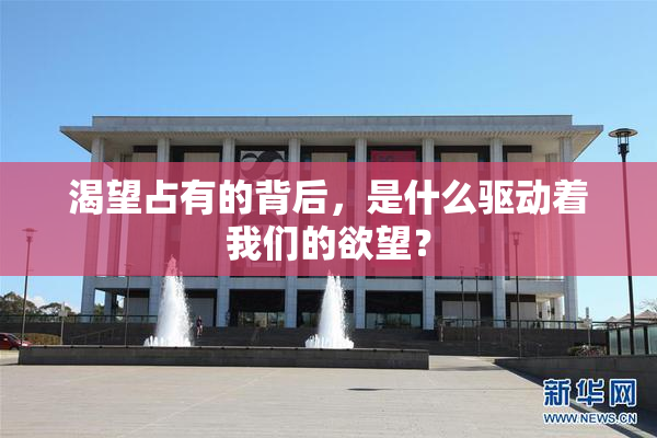 渴望占有的背后，是什么驱动着我们的欲望？