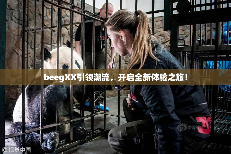 beegXX引领潮流，开启全新体验之旅！
