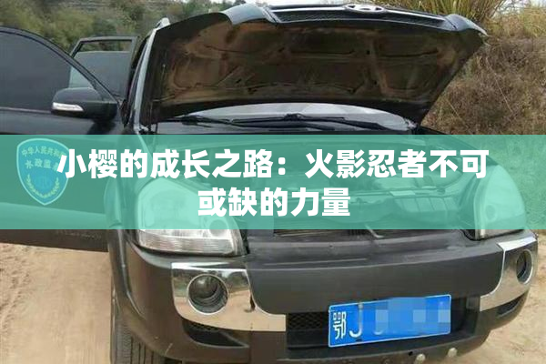 小樱的成长之路：火影忍者不可或缺的力量