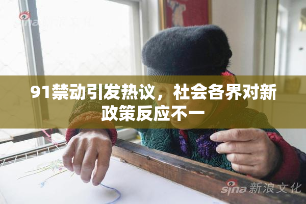 91禁动引发热议，社会各界对新政策反应不一