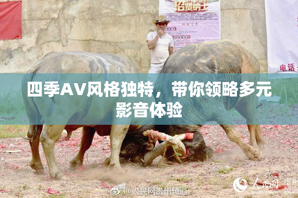 四季AV风格独特，带你领略多元影音体验
