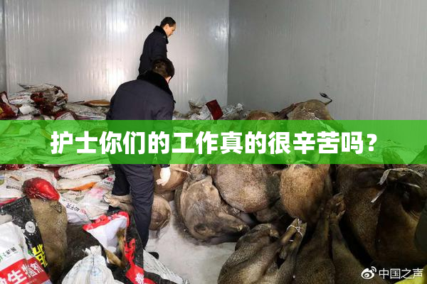 护士你们的工作真的很辛苦吗？