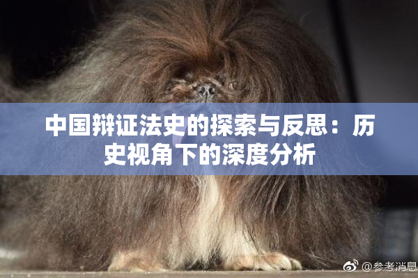 中国辩证法史的探索与反思：历史视角下的深度分析
