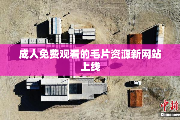 成人免费观看的毛片资源新网站上线